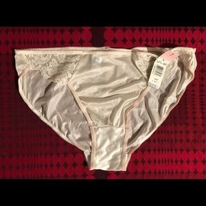 Mint Vintage Vanity Fair Silky Nylon Bikini Brief